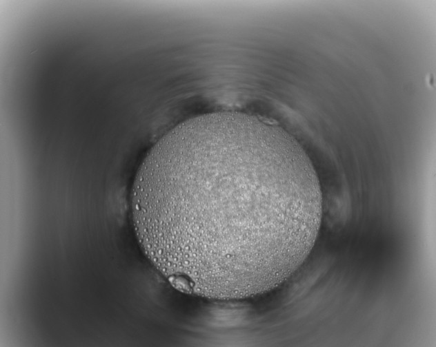 X0000089830707200707051039