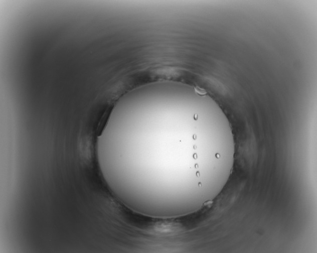 X0000089830708200707051039