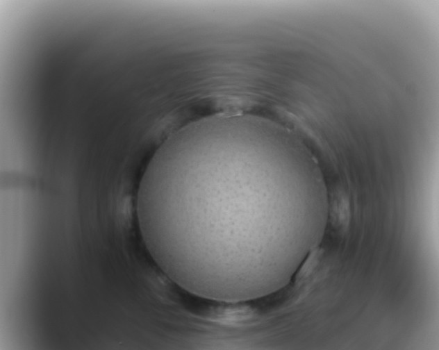 X0000089830716200707051039