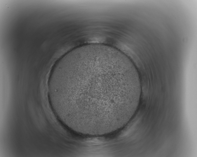 X0000089830721200707051038