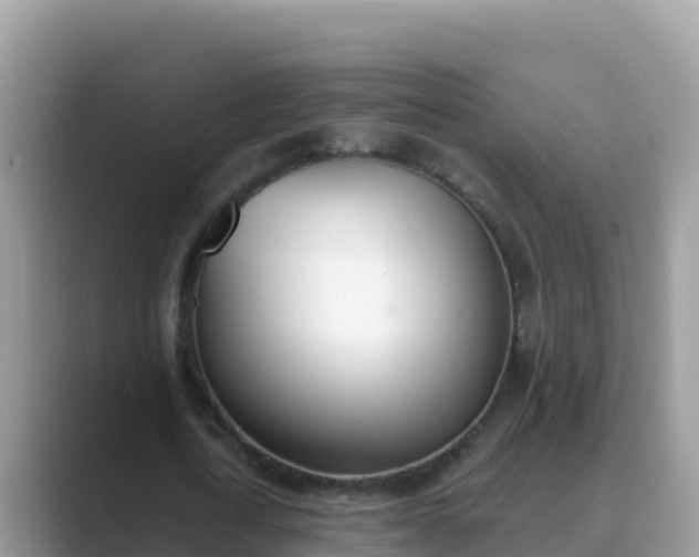 X0000089830722200707051038