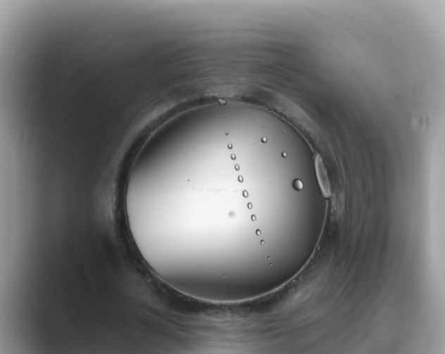 X0000089830724200707051038