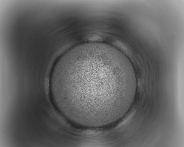 X0000089830725200707051038