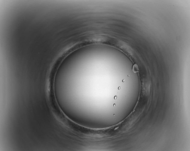 X0000089830726200707051038