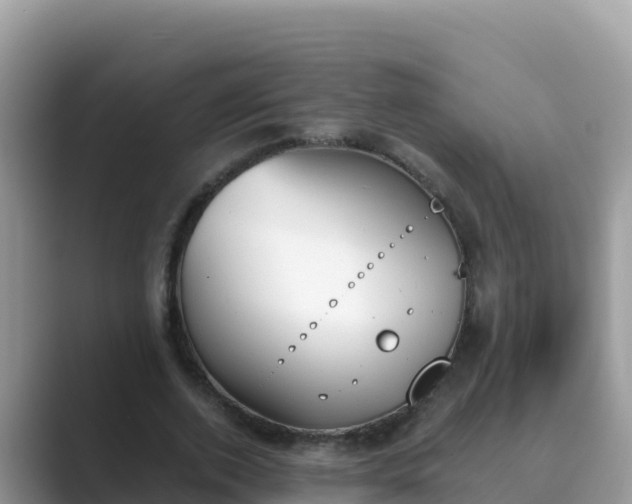 X0000089830728200707051038