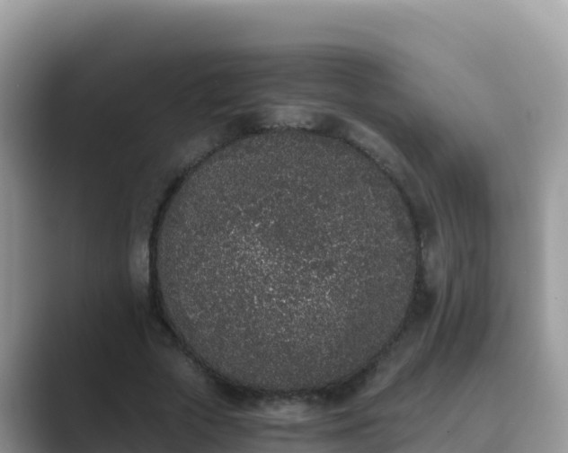 X0000089830729200707051038