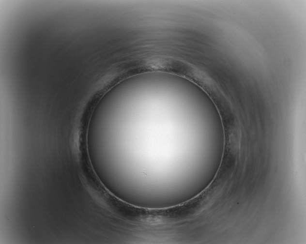 X0000089830730200707051038