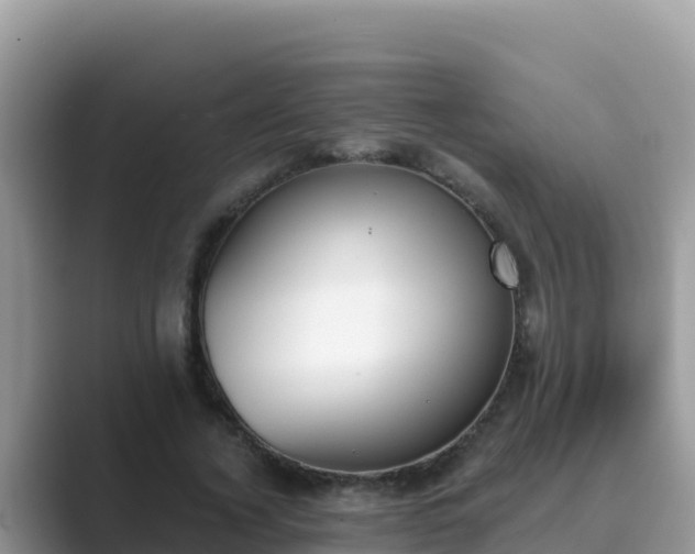 X0000089830732200707051038