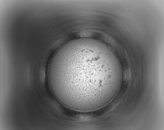 X0000089830733200707051038