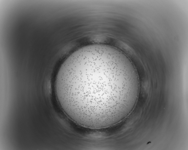 X0000089830734200707051038