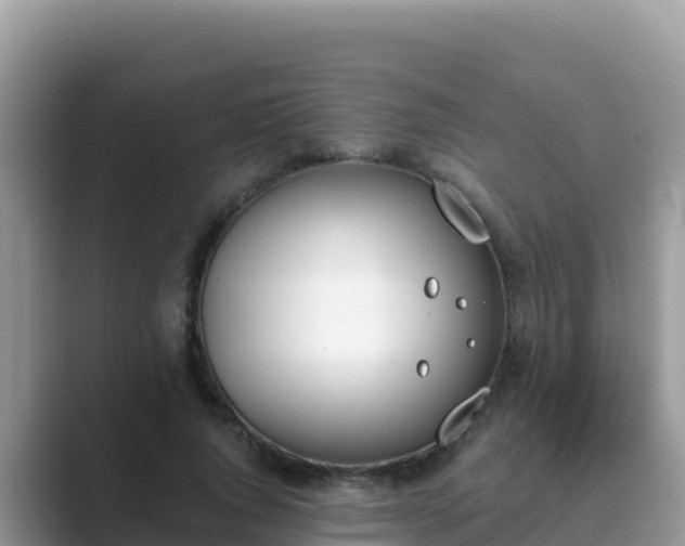 X0000089830736200707051038