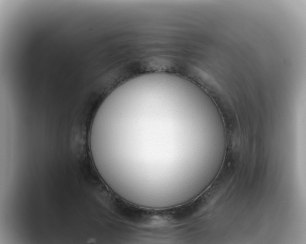 X0000089830737200707051038