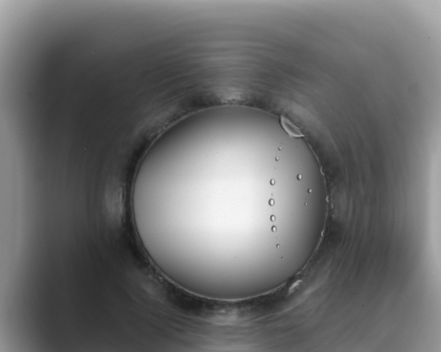 X0000089830740200707051038