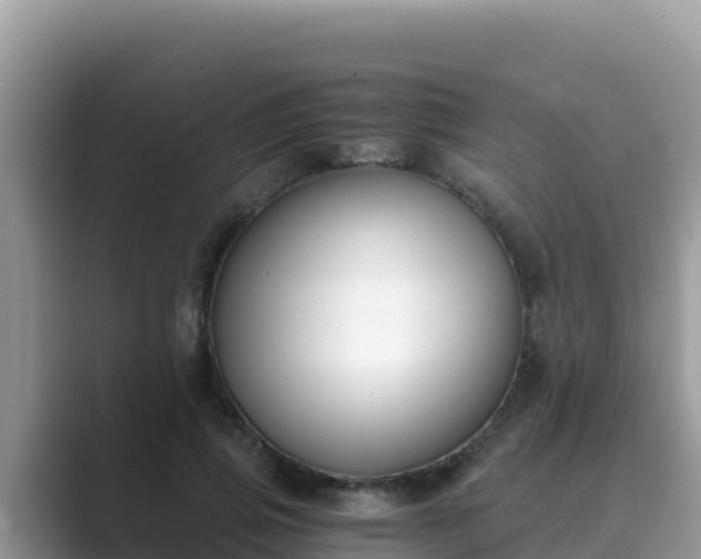 X0000089830741200707051038