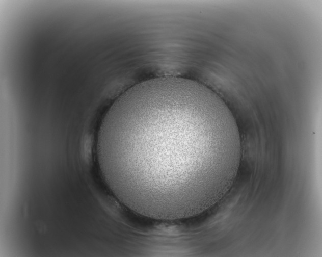 X0000089830742200707051038