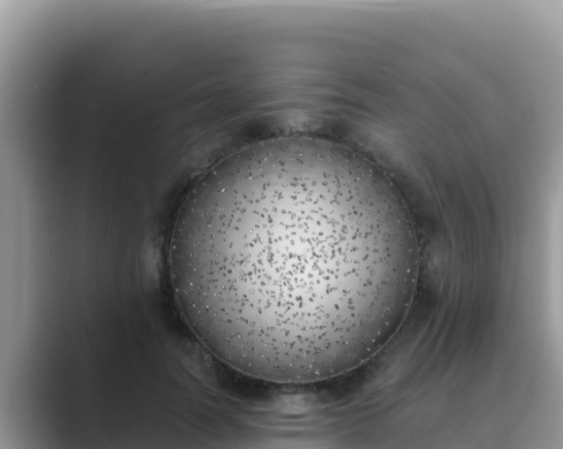 X0000089830746200707051038