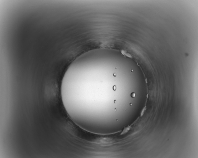 X0000089830748200707051038