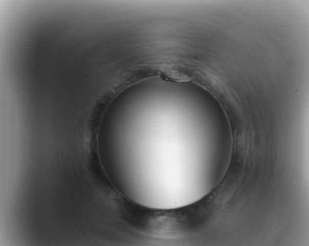 X0000089830750200707051038