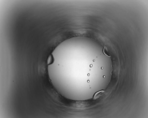 X0000089830758200707051038