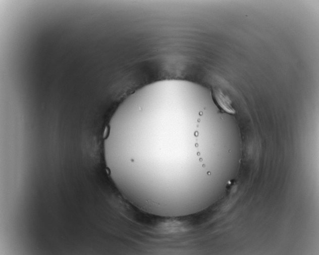 X0000089830759200707051038