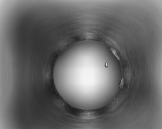 X0000089830760200707051038