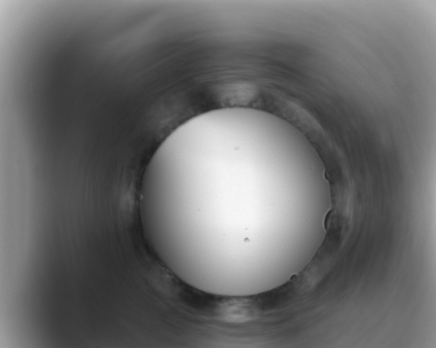 X0000089830761200707051038