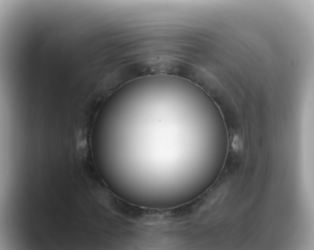 X0000089830771200707051038