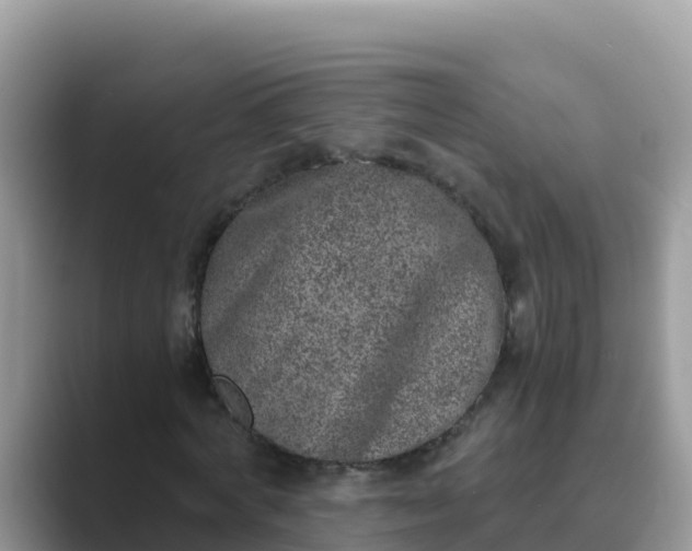 X0000089830772200707051038