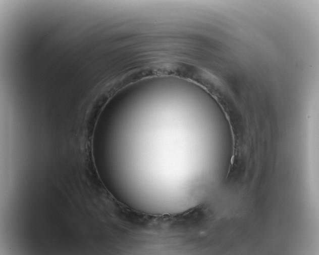 X0000089830773200707051038