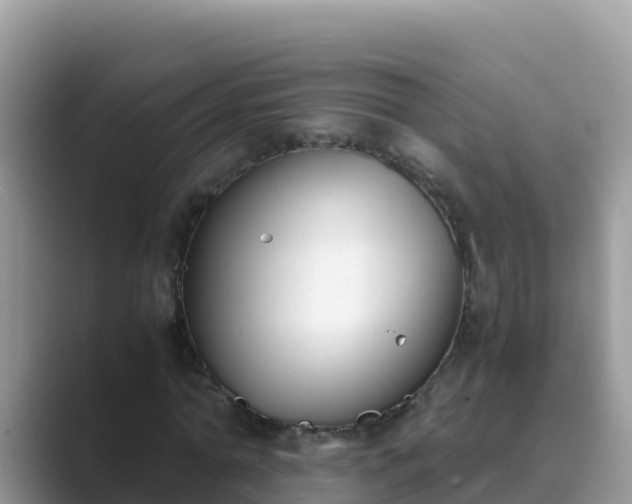 X0000089830774200707051038