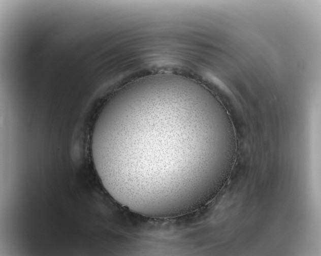 X0000089830775200707051038