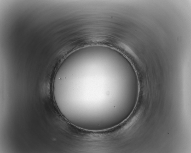 X0000089830777200707051038