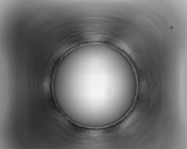 X0000089830778200707051038