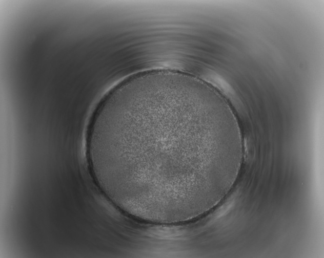 X0000089830780200707051038