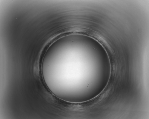 X0000089830784200707051038