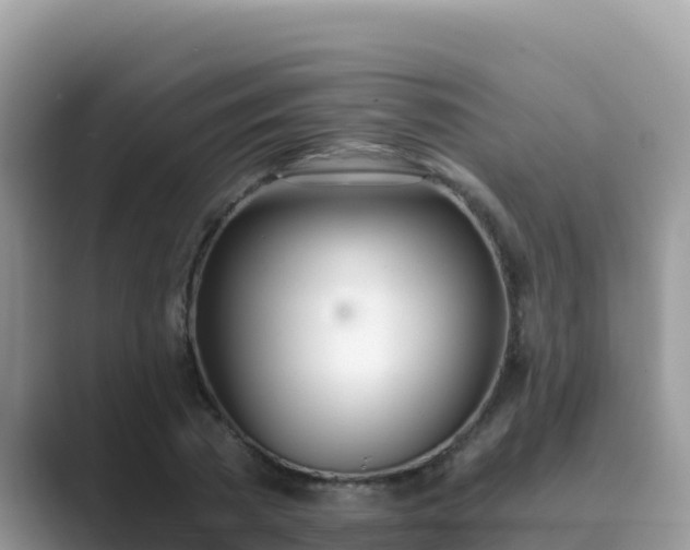 X0000089830785200707051038