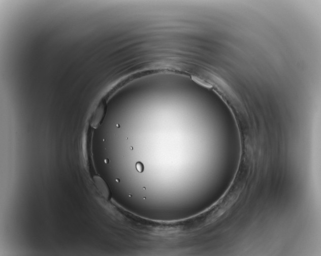 X0000089830788200707051038