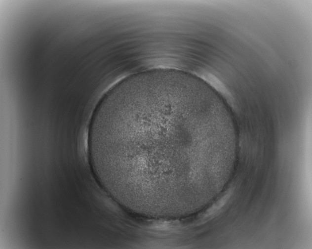 X0000089830790200707051038