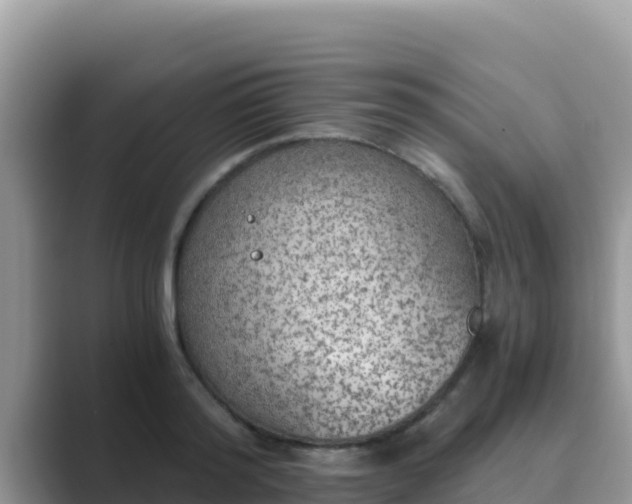 X0000089830796200707051038