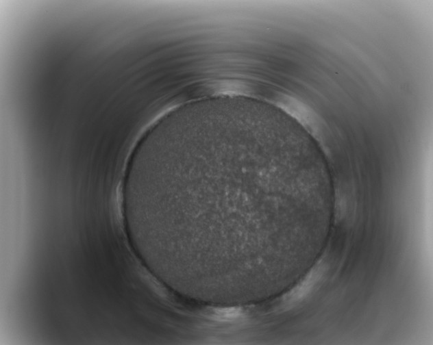 X0000089830798200707051038