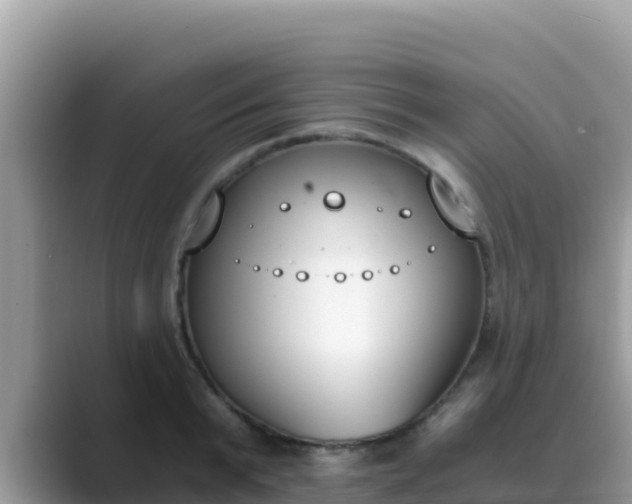 X0000089830799200707051038