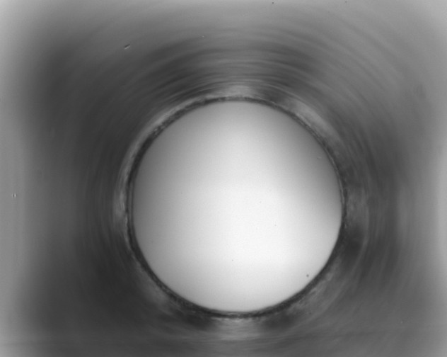 X0000089830800200707051038