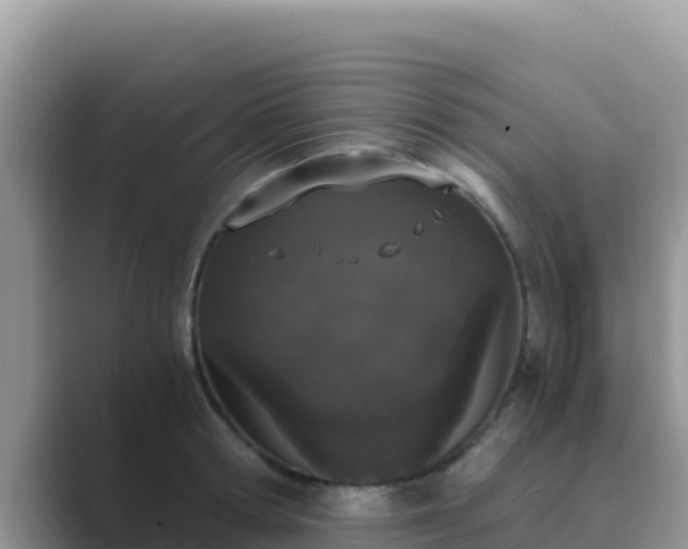 X0000089830802200707051038