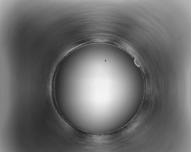 X0000089830803200707051038