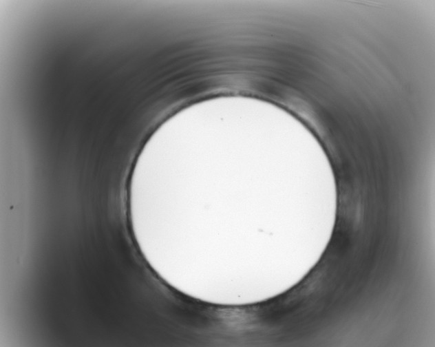 X0000089830807200707051037