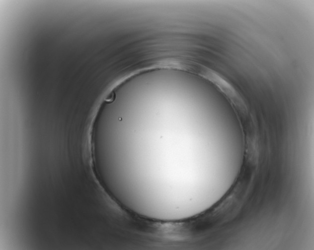 X0000089830808200707051037