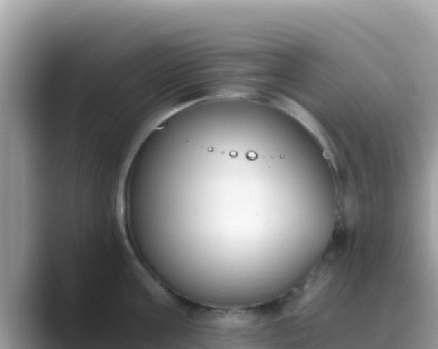 X0000089830811200707051037