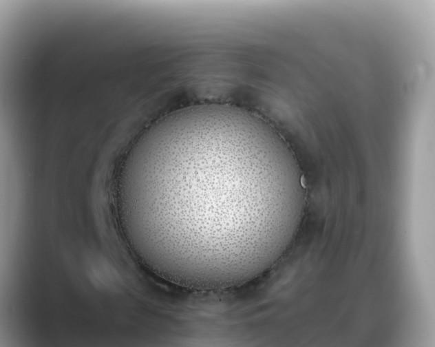 X0000089830817200707051037