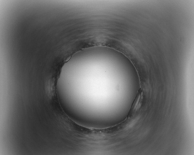 X0000089830818200707051037