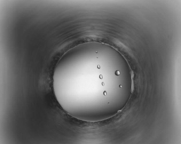 X0000089830822200707051037